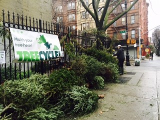 alberi-natale-new-york-t3