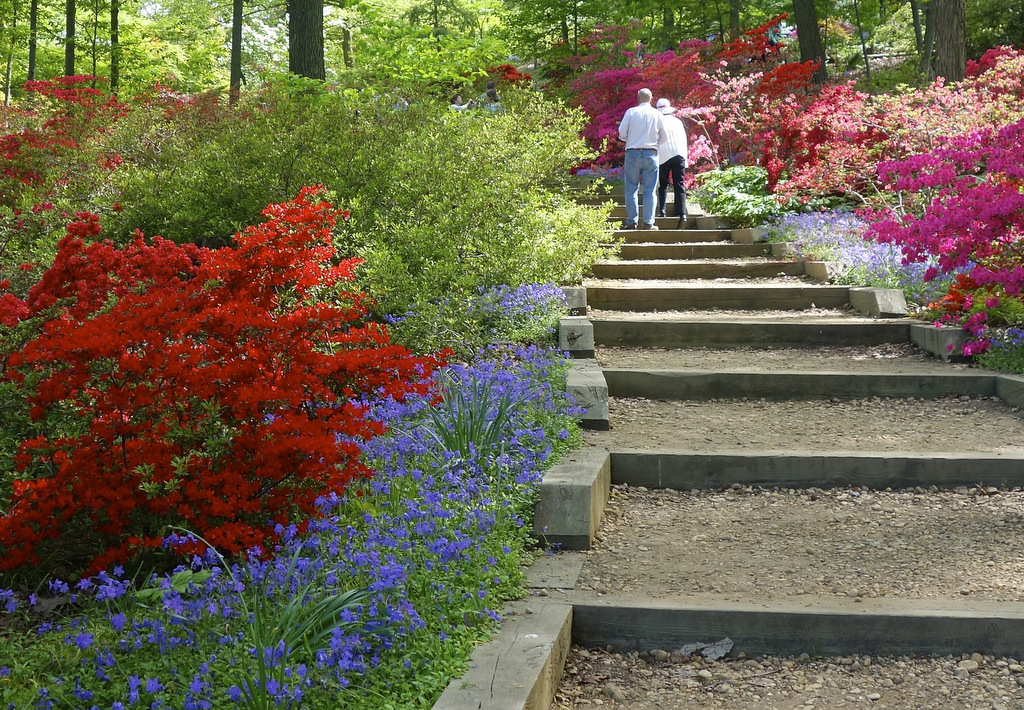 primavera a new york
