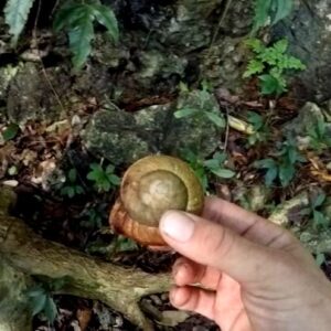fiumi cuba