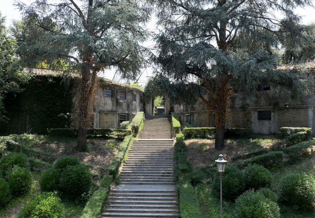 zoo roma