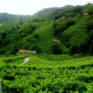 valdobbiadene