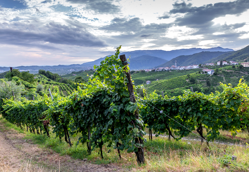 valdobbiadene