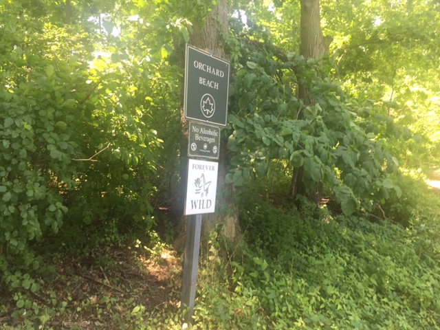 Il parco naturale attorno a Orchard Beach