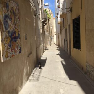 sicilia di ponente viaggio trapani e provincia
