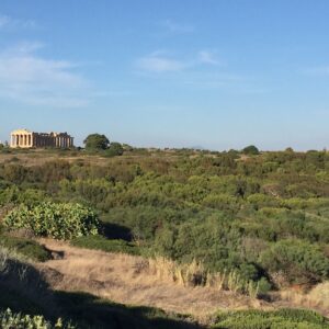 sicilia di ponente viaggio trapani e provincia