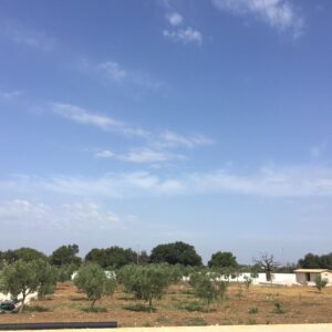 sicilia di ponente viaggio trapani e provincia