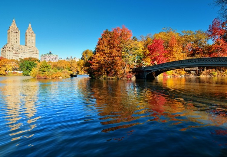 fall foliage new york autunno
