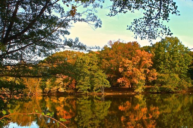 clove-lake-park-si