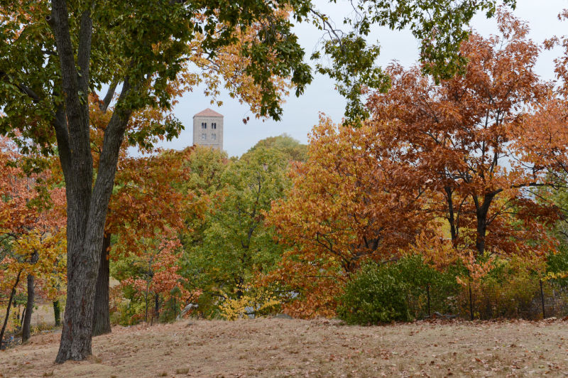 front-tyron-park