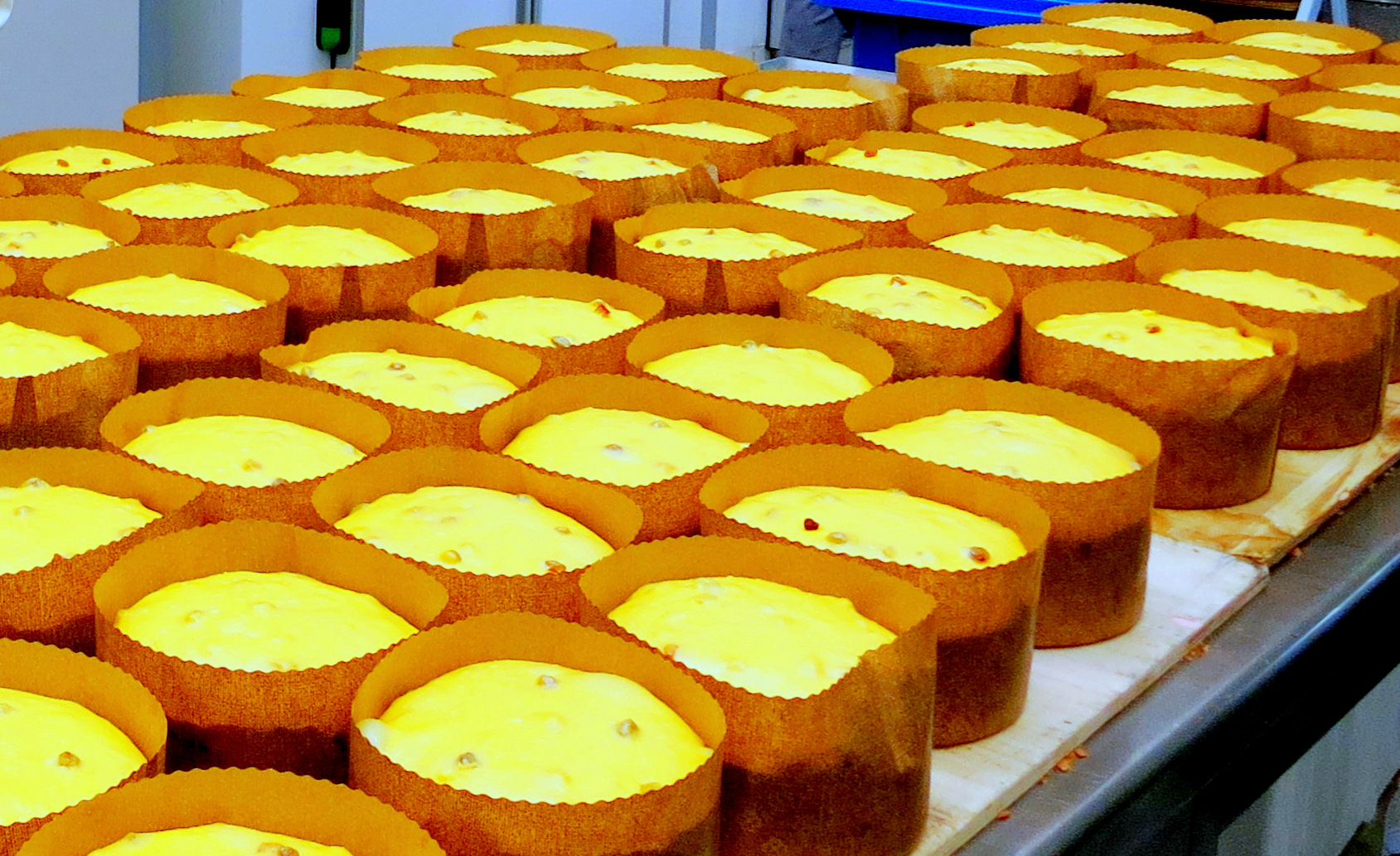panettone