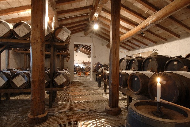 aceto-balsamico