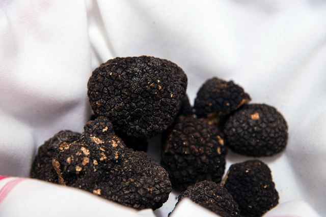 Il tartufo di Norcia