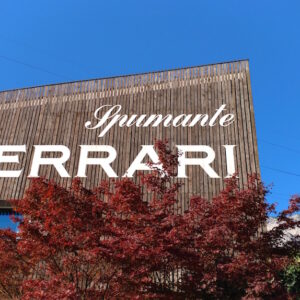 Ferrari-Trento-italianwines
