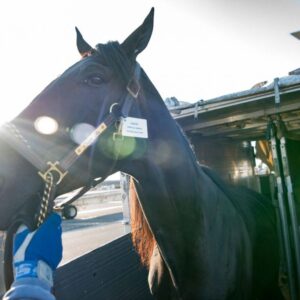Trotters-Italian-Yonkers