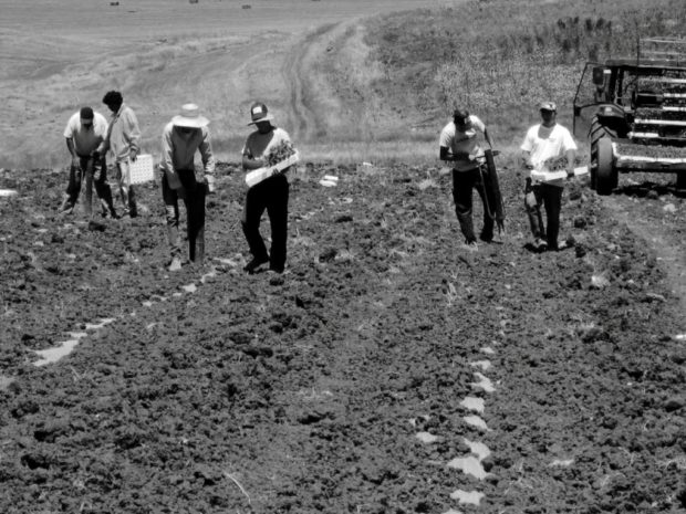 Farmers in the grounds of the mission (Ph. Giacomo Palermo)