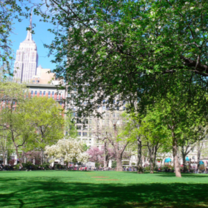 newyork-manhattan-springtime