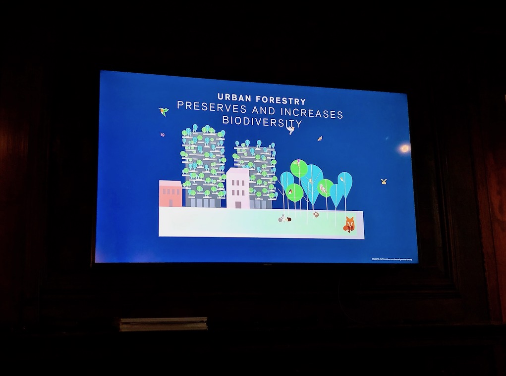 Una presentazione proiettata all'interno della mostra.