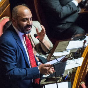 INFORMATIVA DI LUIGI DI MAIO AL SENATO SULLA SICUREZZA