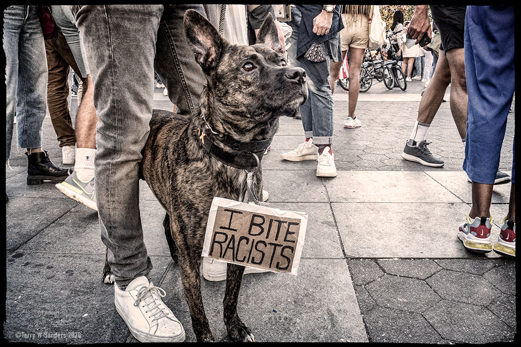 terry-sanders-14_BHD_IBiteRacists_WashSq_110720_LVN Washington Square,