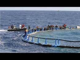 Aggrappati alle vasche dei tonni per non morire I migranti aggrappati alle gabbie dei tonni
