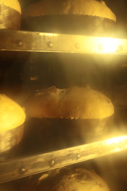 forno