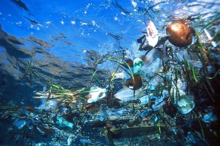 Gli schifosi violentatori del mare Plastica e rifiuti in mare