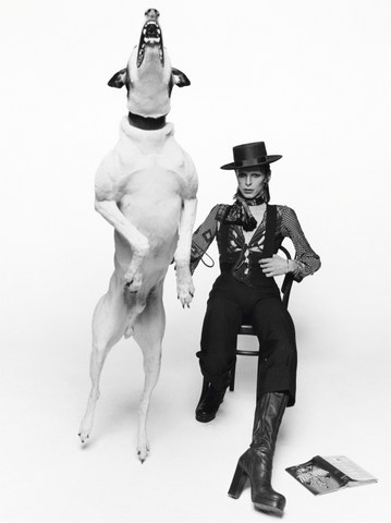 bowie