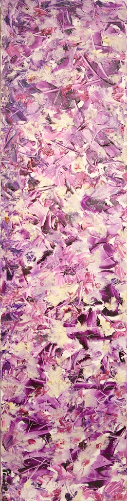 viola