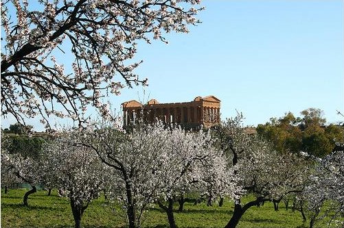Agrigento, la Regione chiude il Consorzio universitario?