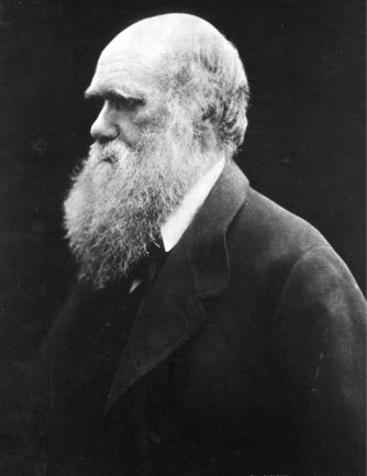 Darwin