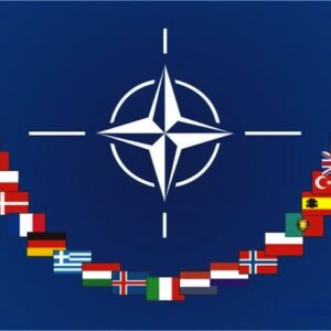 C'era una volta la NATO, gli idrocarburi e l'europeo