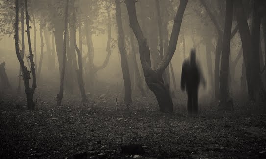 Un’altra ‘stretta’ attorno a Matteo Messina Denaro. Che però rimane un ‘fantasma’