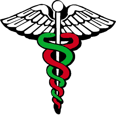 201602251958medical-symbol Voices of Italian science in US