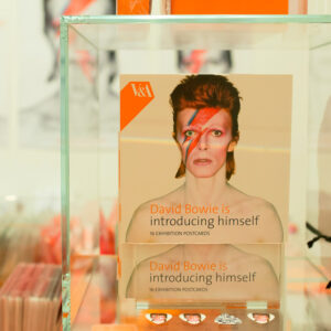 david bowie is mostra