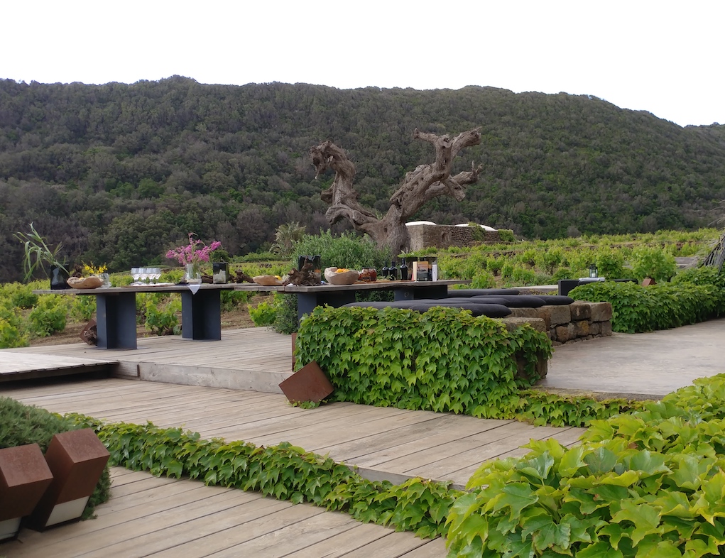 Coste Ghirlanda Winery.