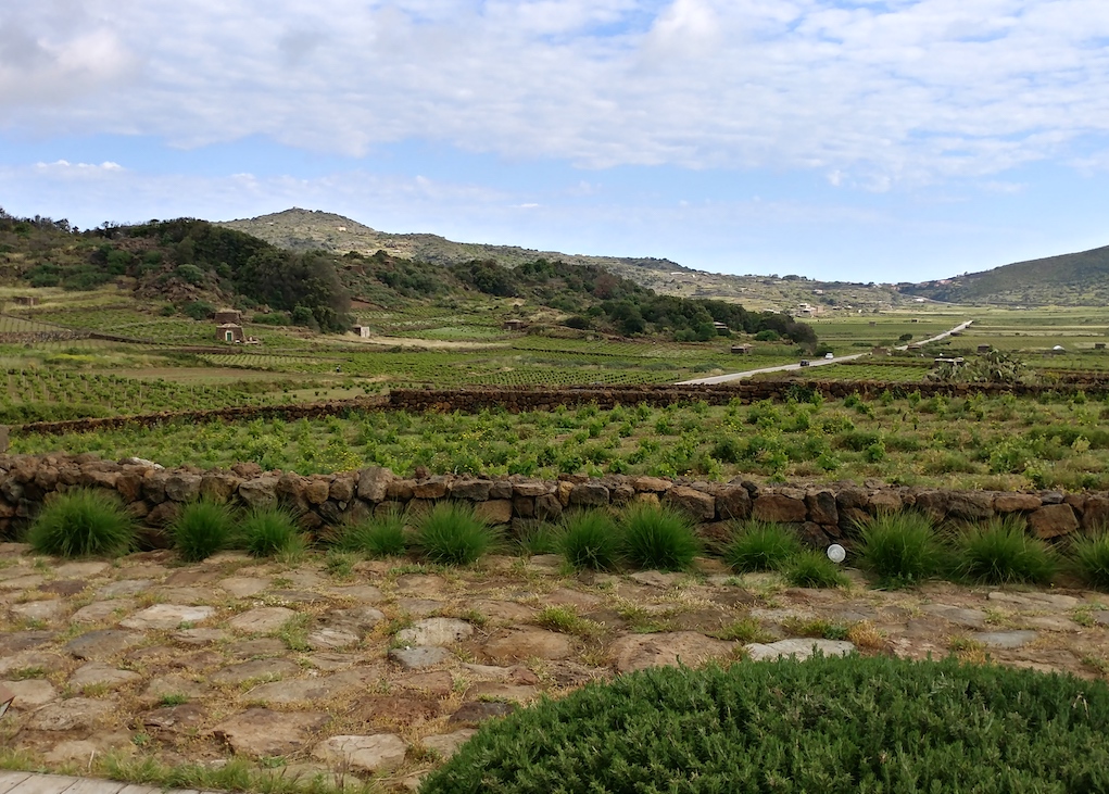 Landscape of Coste Ghirlanda.