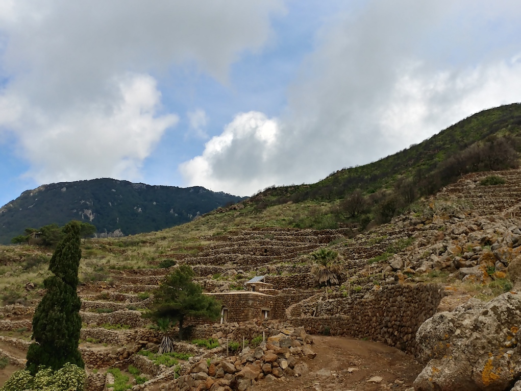 Terraced Lava Stone Walls on Pantelleria Island.