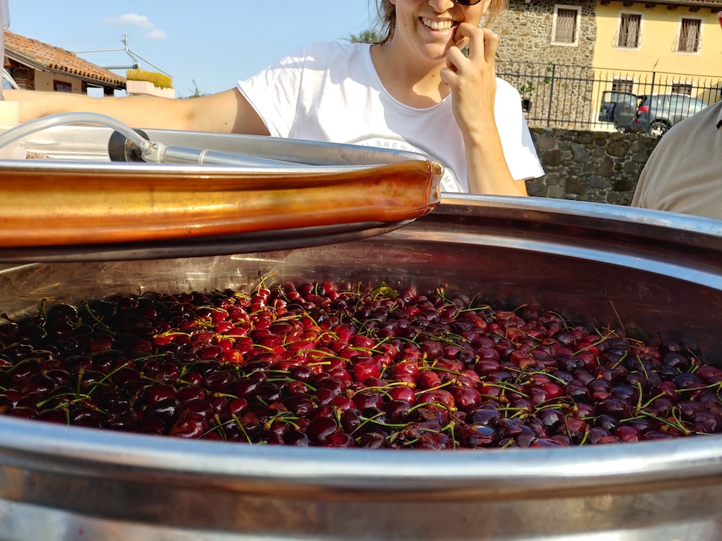 Masieri Family Showing the Cherries for Their Cherry Eau de Vie.