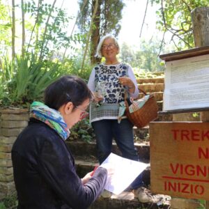 eno-turismo-Trekking nei vigneti Donatella Cinelli Colombii (low)