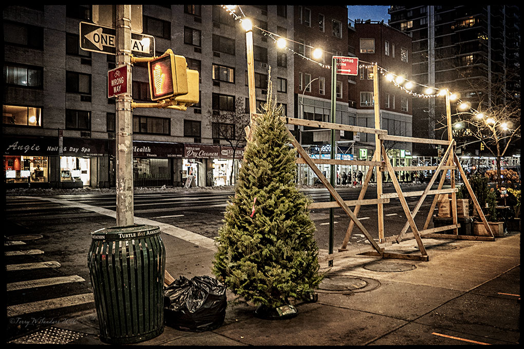 dicembre_albero-natale_pandemia_newyork_terrywsanders Dicembre 2020, New York, Un Albero di Natale sulla 2nd Ave, Midtown (di Terry W. Sanders)
