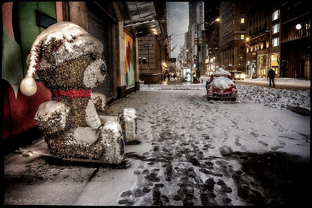 neve-newyork-dicembre-pandemia-tempesta-neve-terrywsanders Teddy Bear, sulla 5th avenue, New York, la prima tempesta di neve dell'inverno pandemico (di Terry W. Sanders)