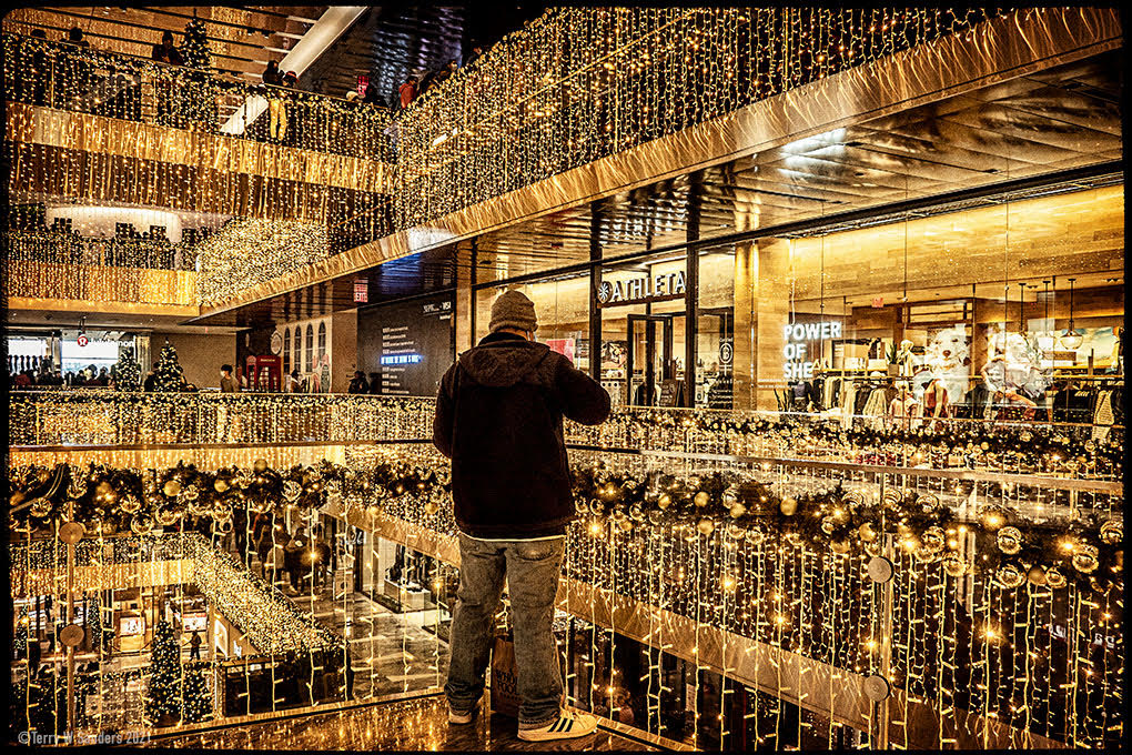 newyork-hudsonyards-shoppingmall-terrywsanders Hudson Yards, 20, Shopping Mall, New York (di Terry W. Sanders)