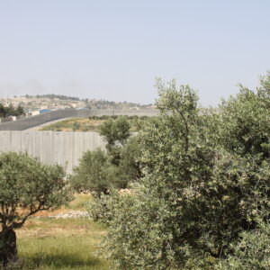 Israele