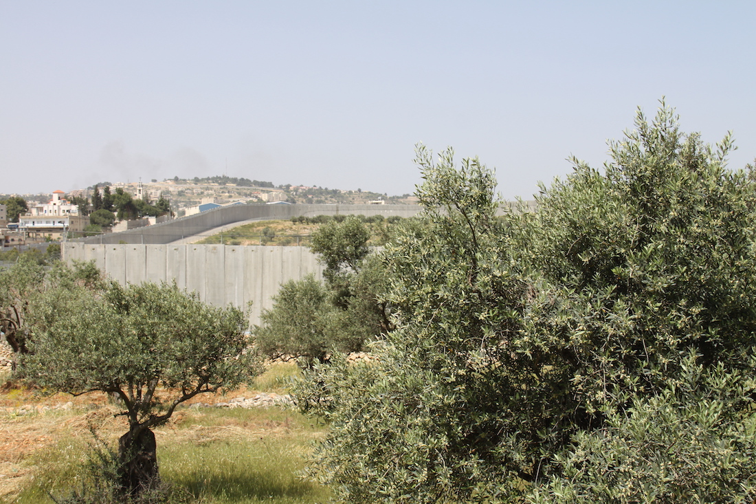 Israele Il servizio fotografico di Dania Ceragioli in Israele