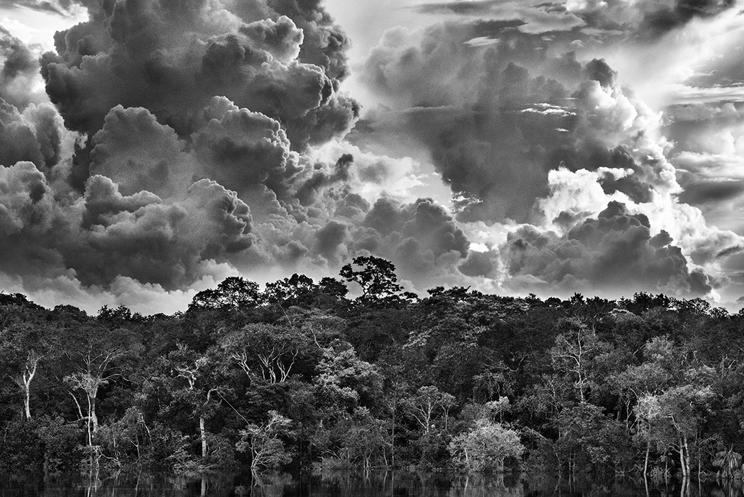 © Sebastião SALGADO Arcipelago fluviale di Mariuá. Rio Negro. Stato di Amazonas, Brasile, 2019 (@Sebastião Salgado)