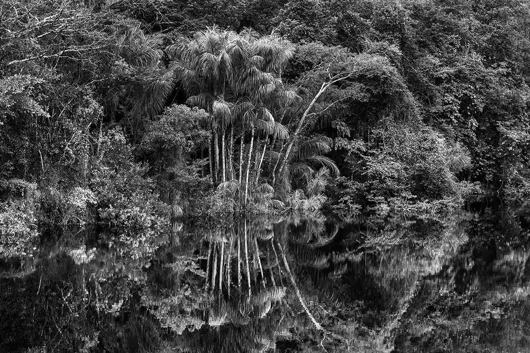 © Sebastião SALGADO Rio Jaú. Stato di Amazonas, Brasile, 2019 (@Sebastião Salgado)