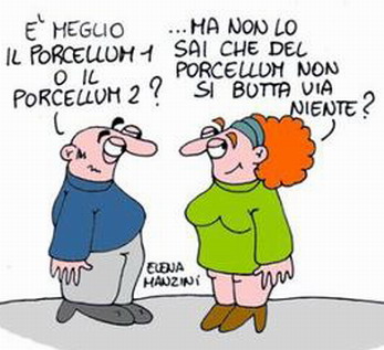 OPINIONI/ Resiste il Porcellum