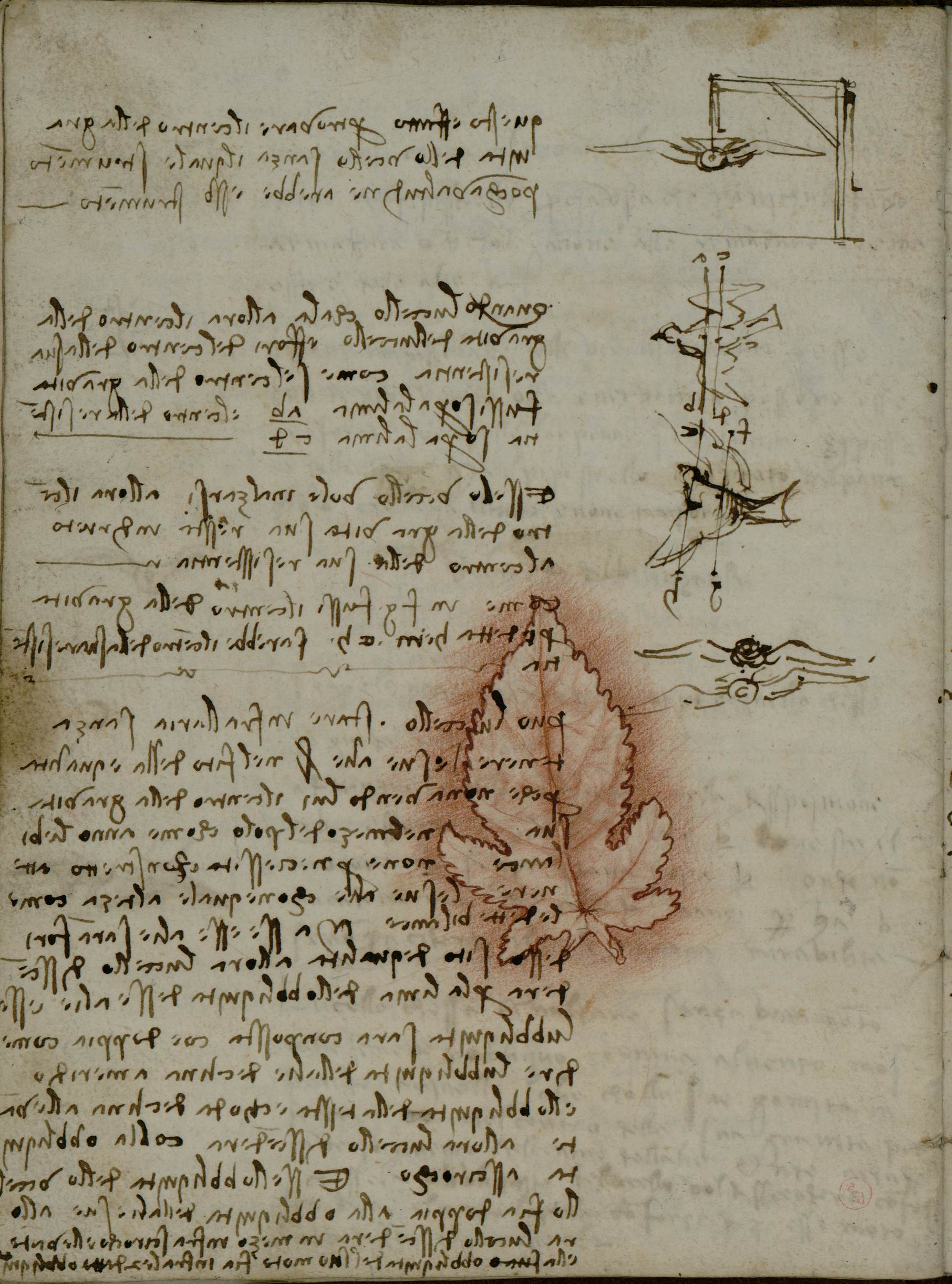 codice daVinci