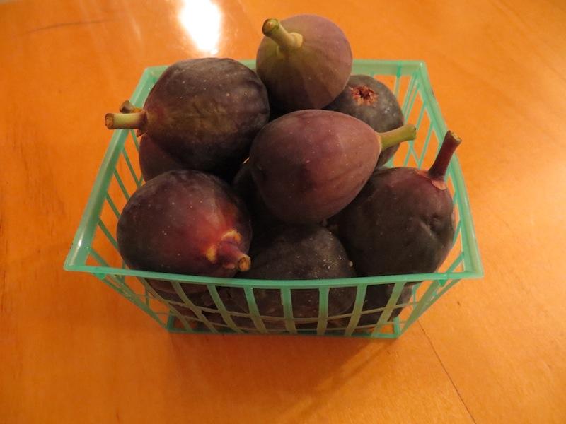 Fichi USA