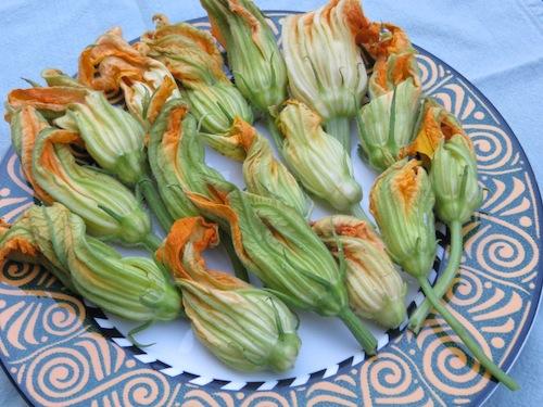 FioriDizucca